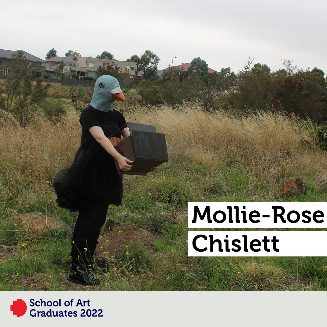 Mollie-Rose Chislett, 'i am the pigeon'.