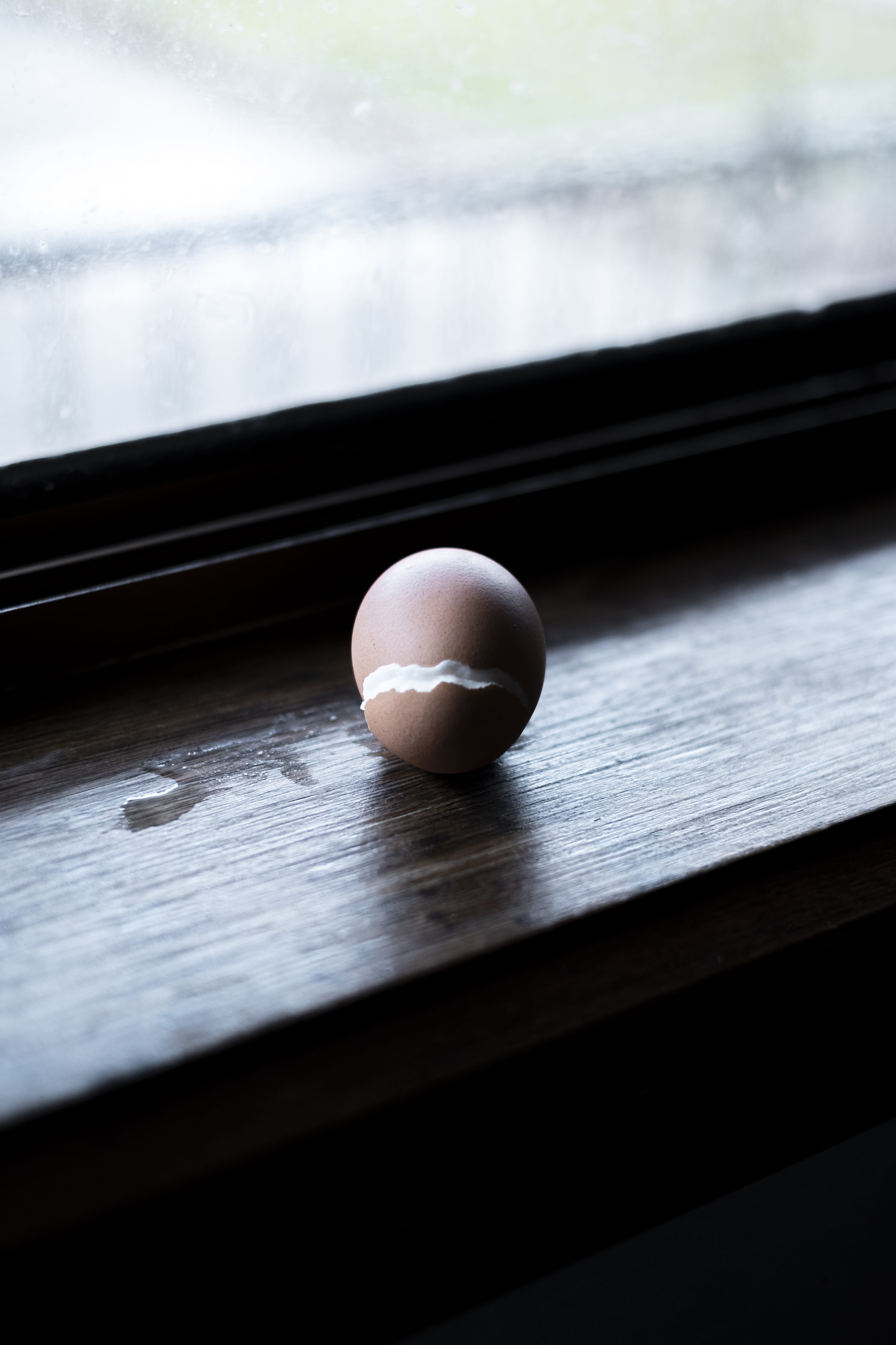 photograph of an egg
