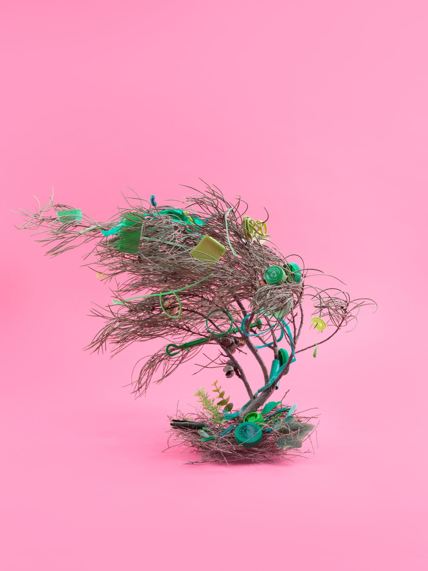 branch with green plastic and bird nest