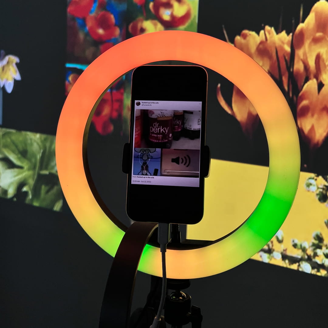 Photograph of a phone displaying an image of a meme, held up by a green and orange ringlight. Behind the phone, there is a video projection of AI generated flowers.