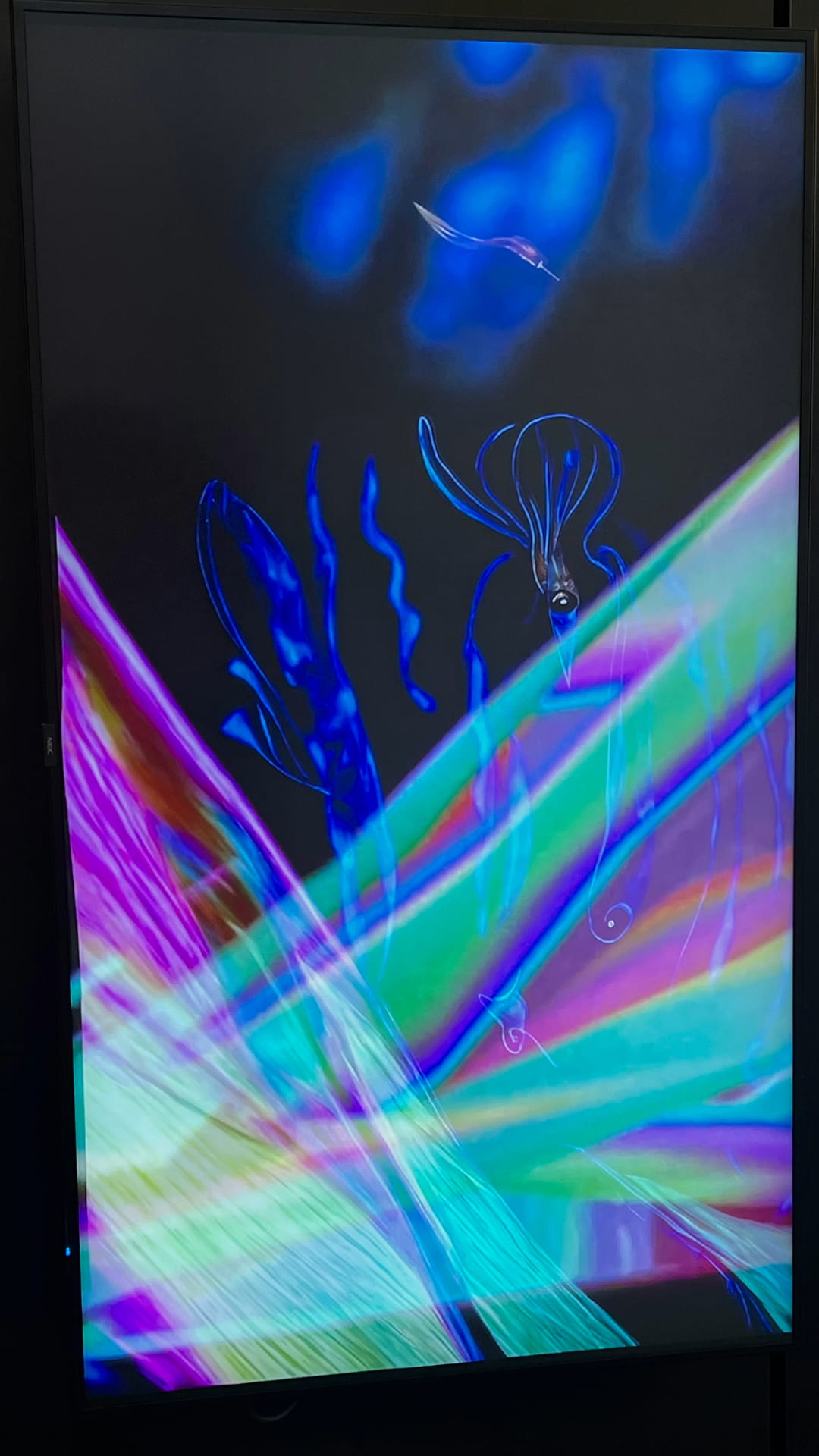 Photograph of an LED screen displaying a video piece. The video shows lenticular colour shifting plankton and squid, obscured by a semi-transparent rainbow shroud.