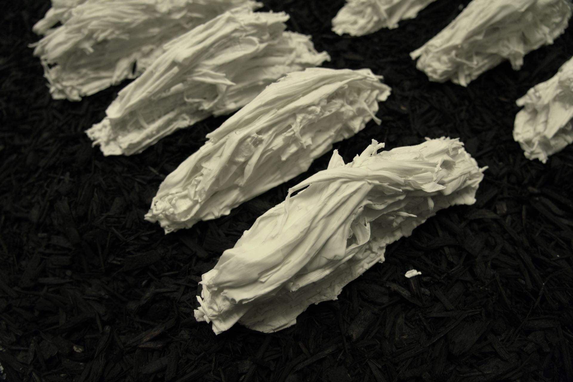 close shot of porcelain forms on a black background