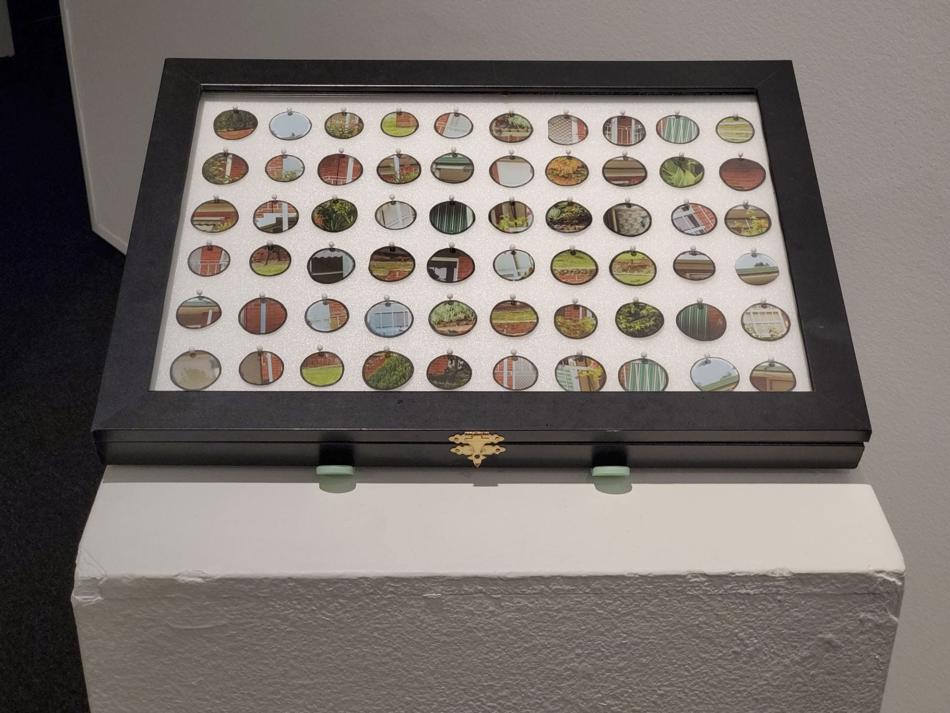 display box of the small round photographs taken at the housing estate