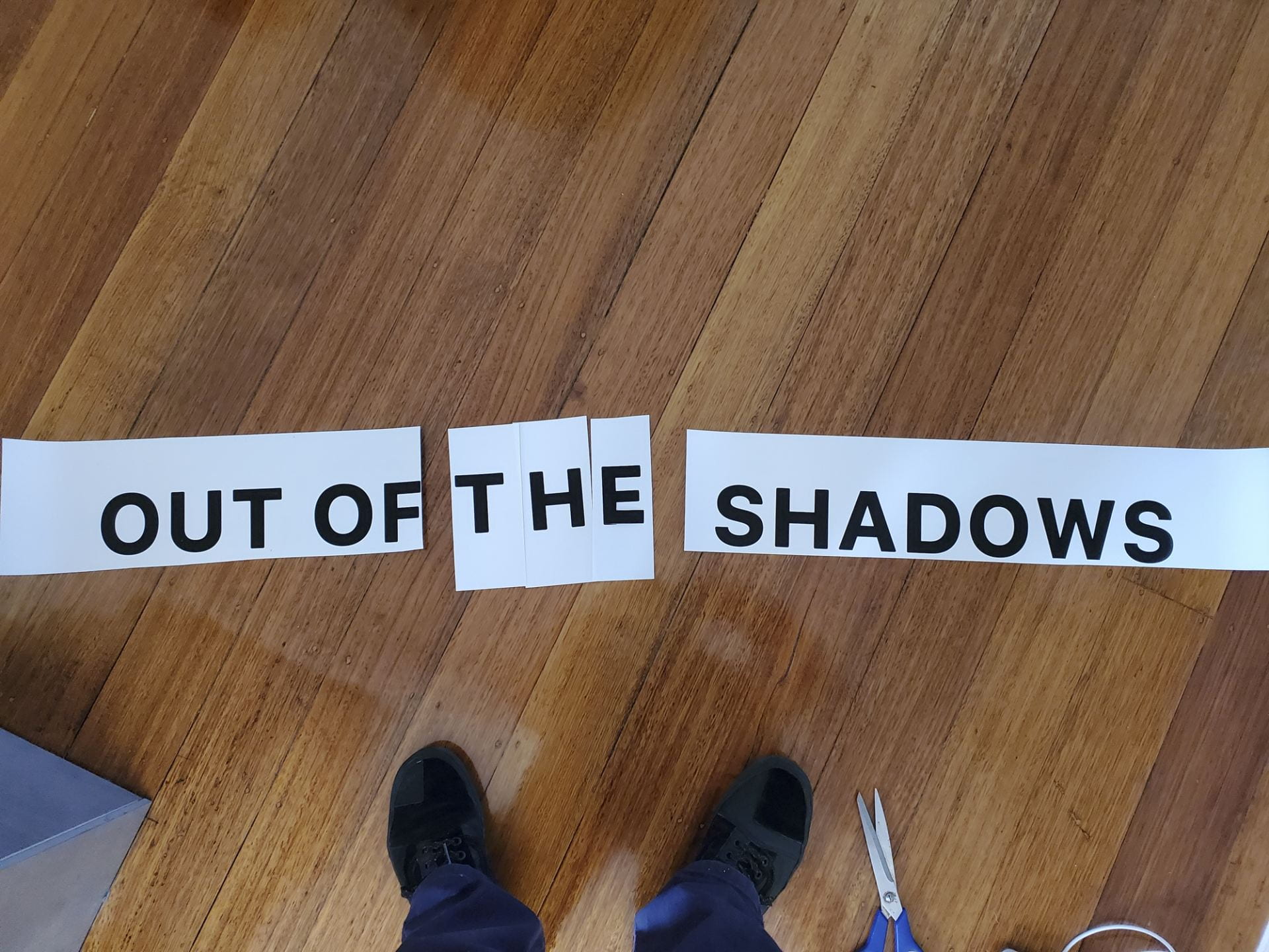 Work on the title 'Out of the Shadows'