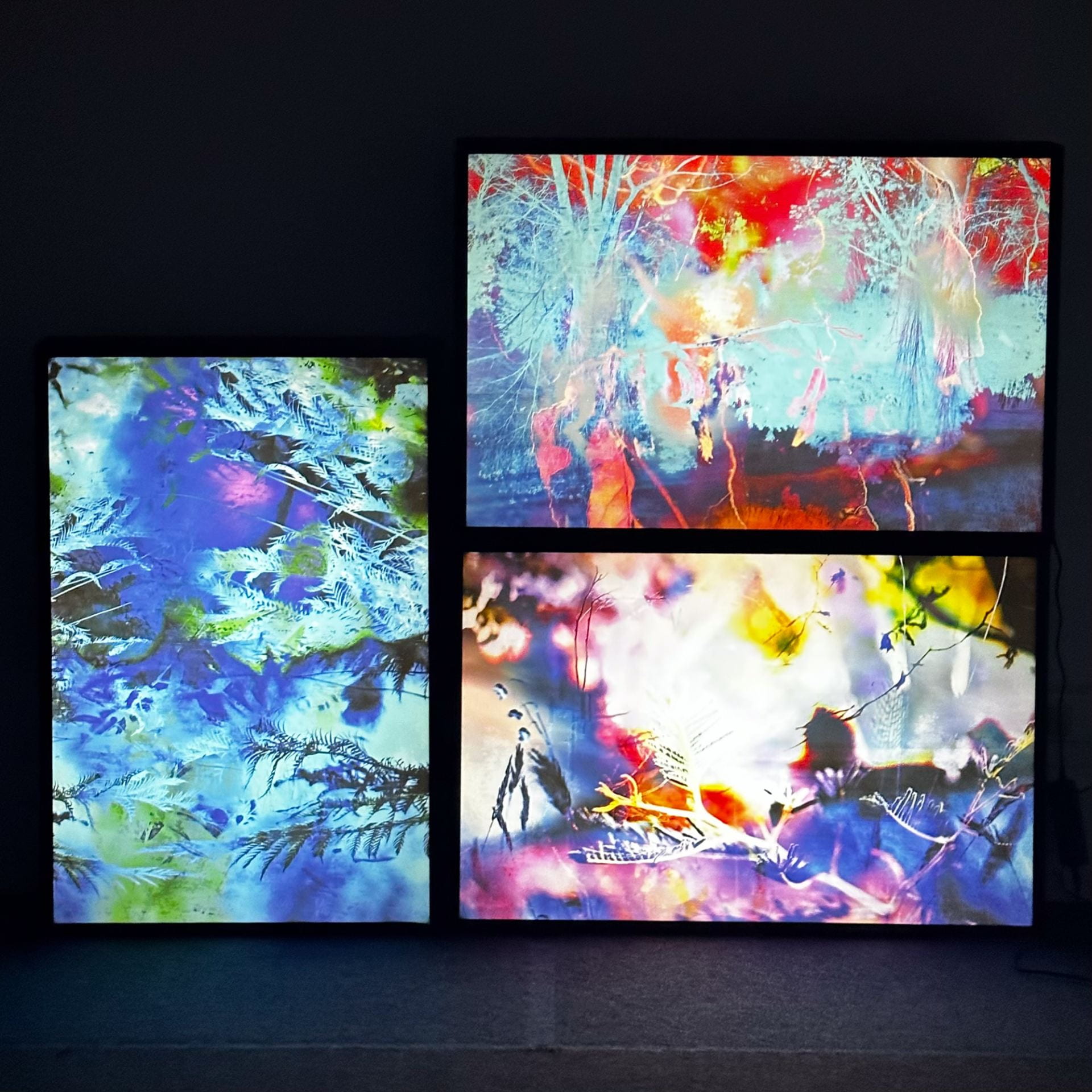 Installation view of three lightboxes with abstract landscape images