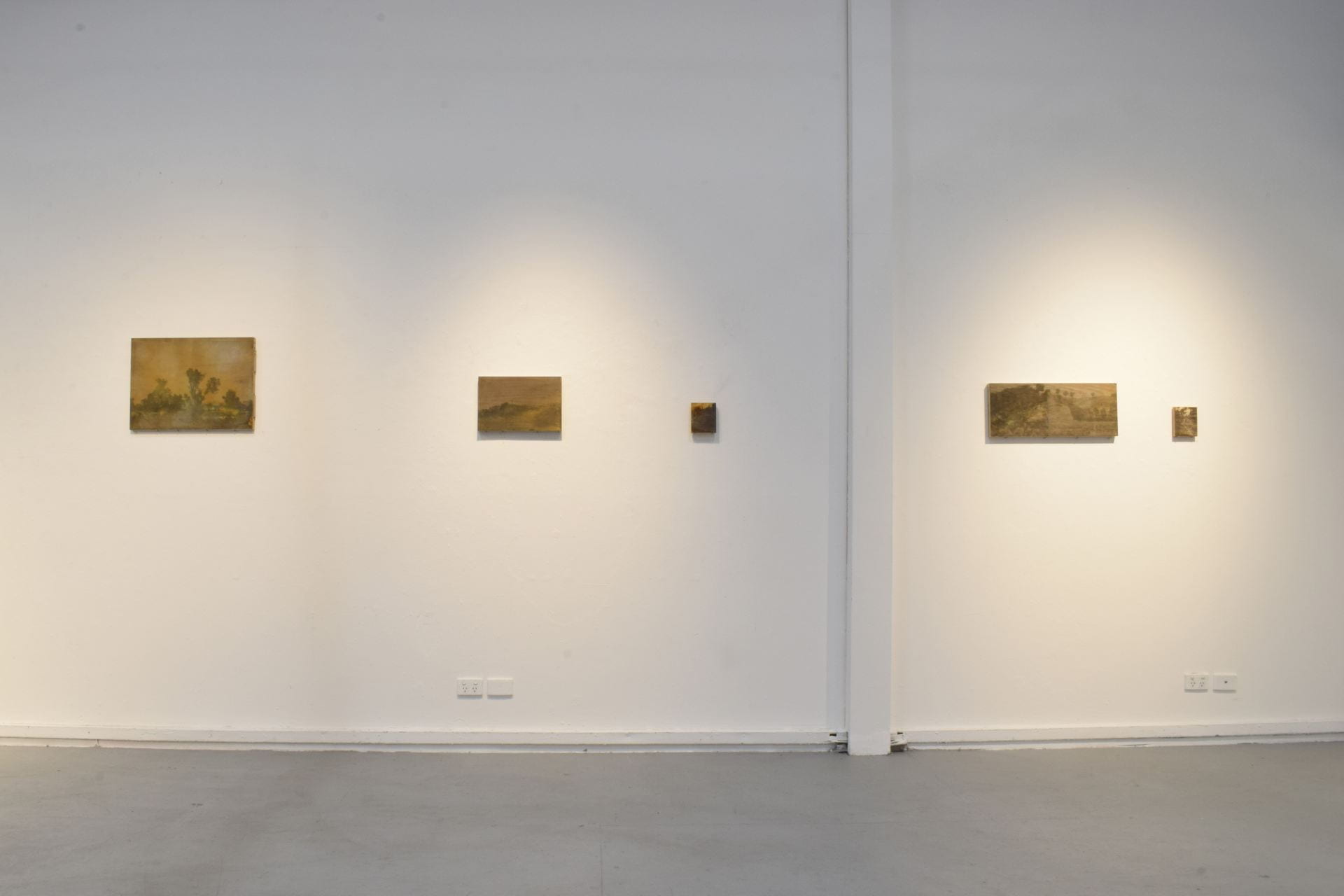 Installation view of screenprint on various types of wood against a white gallery wall.