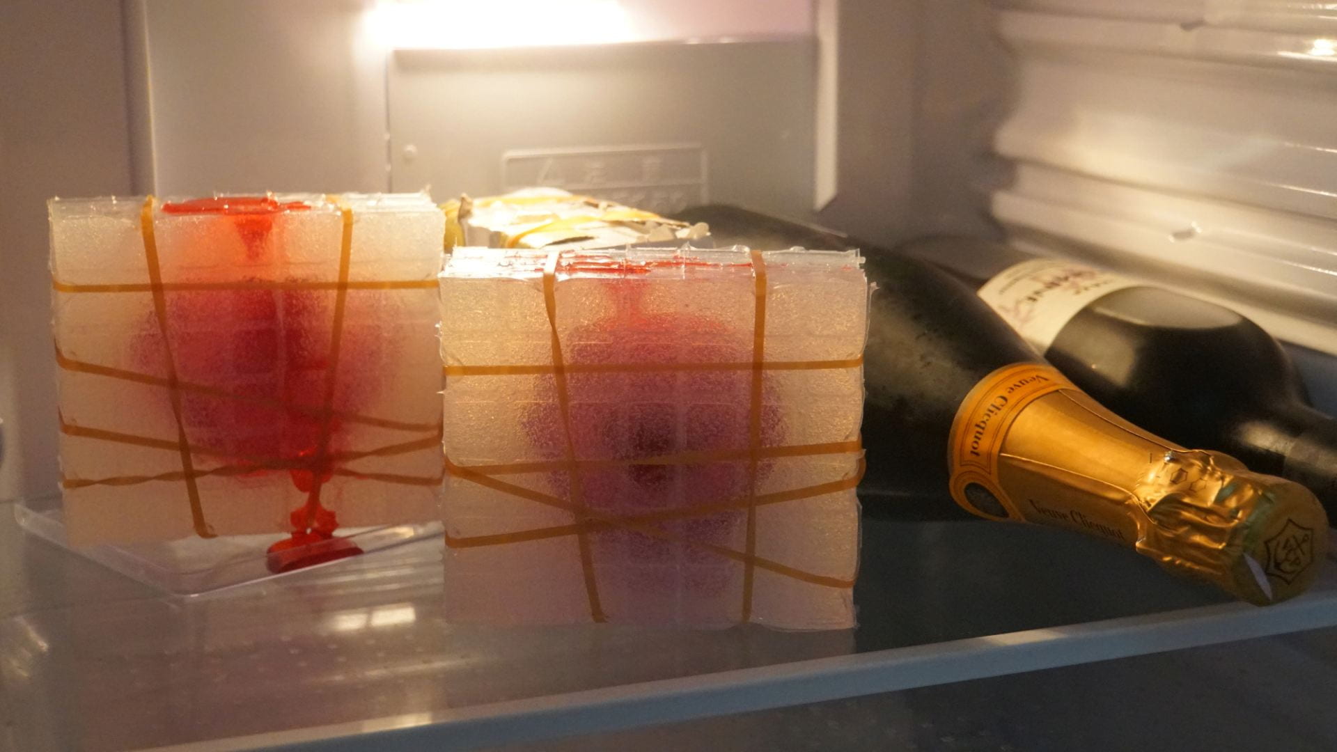 Two moulds with gelatin sculptures freezing in a fridge