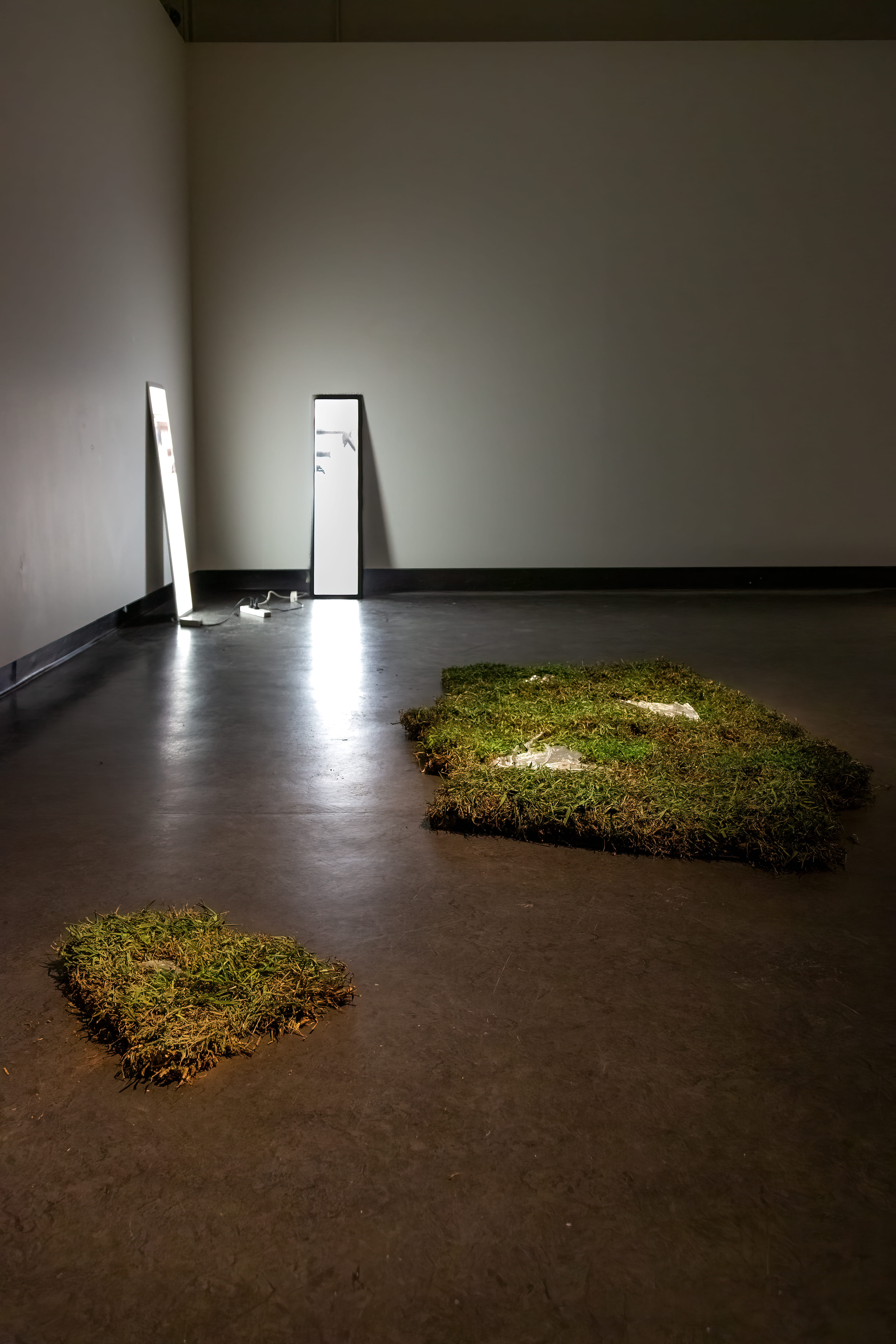 image of two LED panels with acetate print, two piles of grass with pewter in dimly lit room