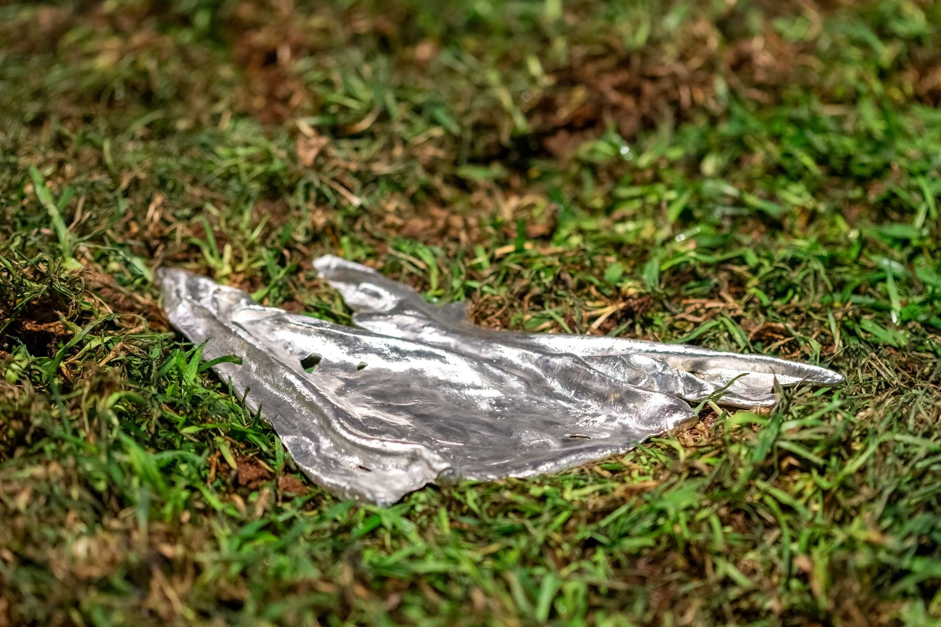 detail image of pewter in grass