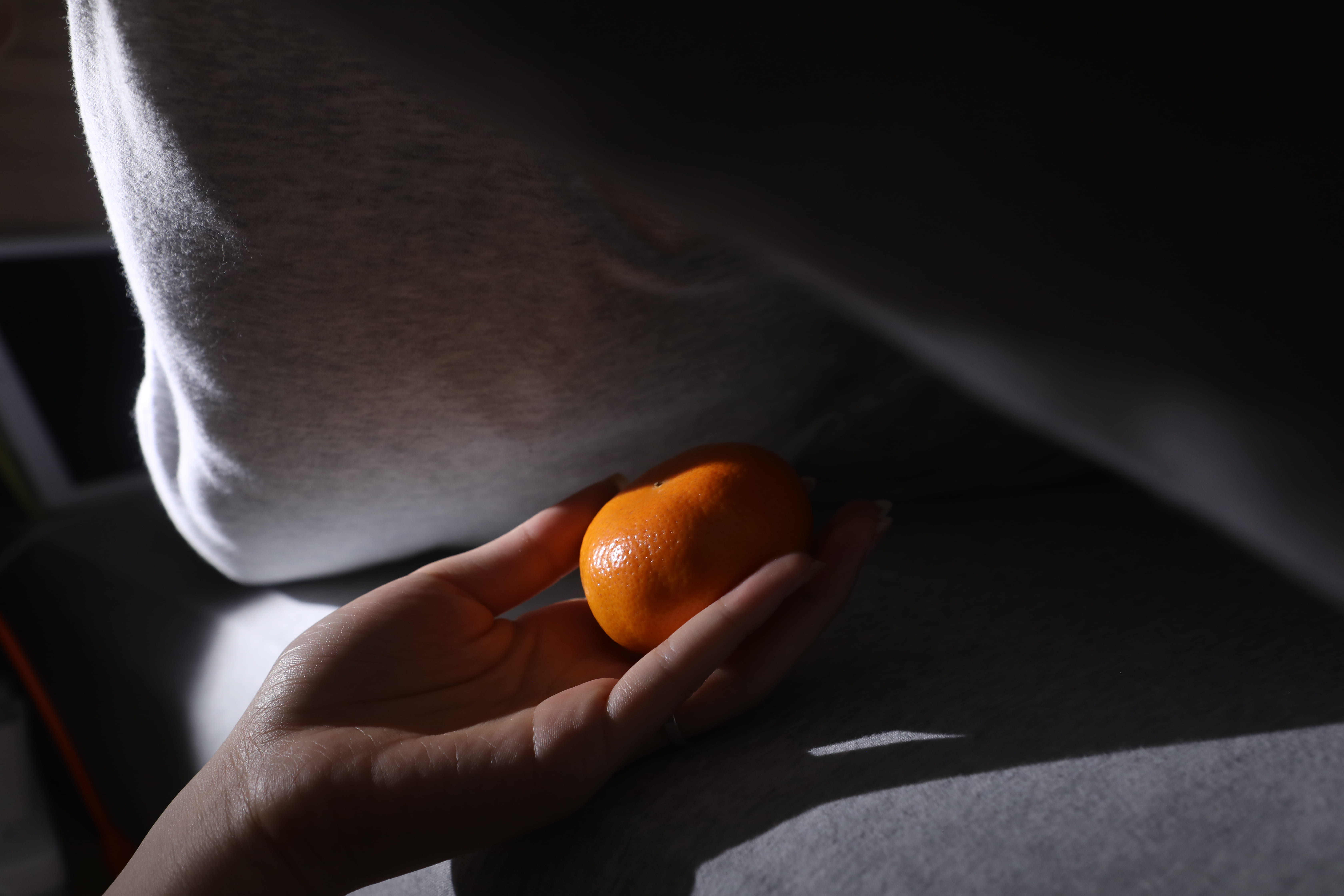 photography of a hand hold an orange