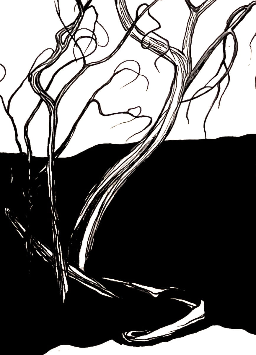 Observational study of a spindly tree (bottom), 2023.