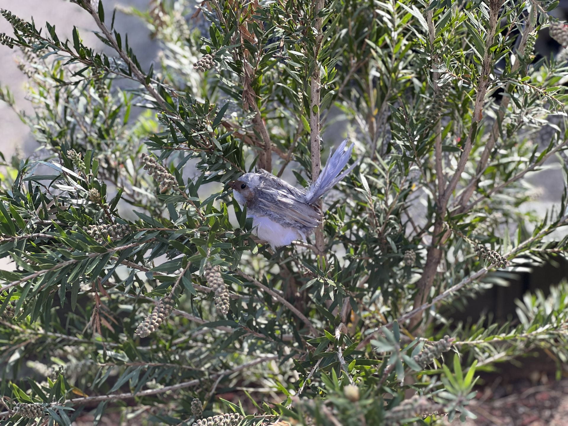 Bird sculpture in tree branches