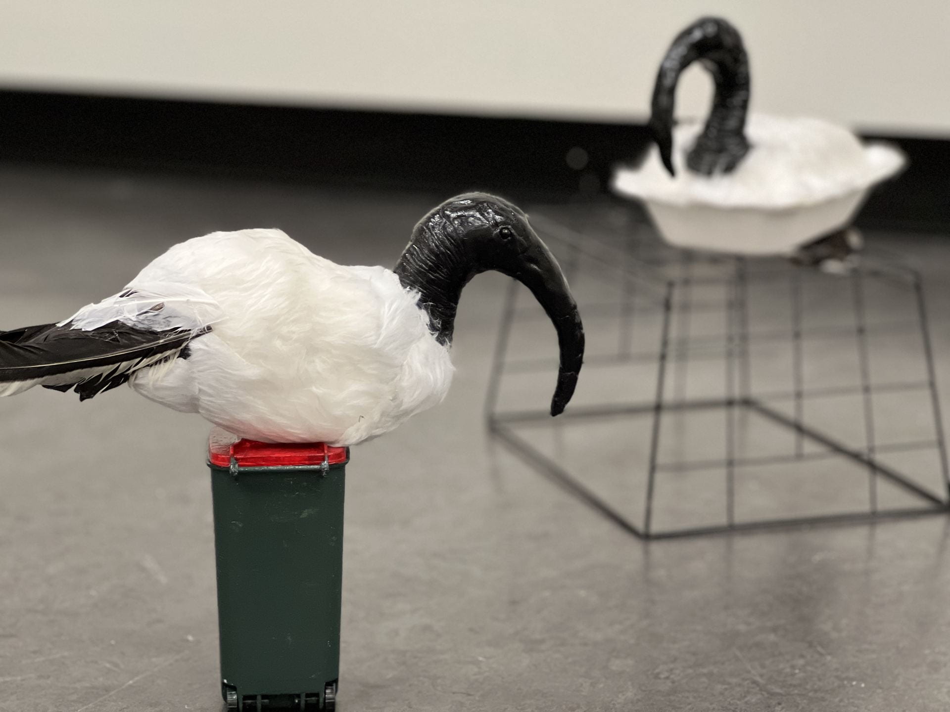 Sculpture of two ibis, one made from a chicken and chips container