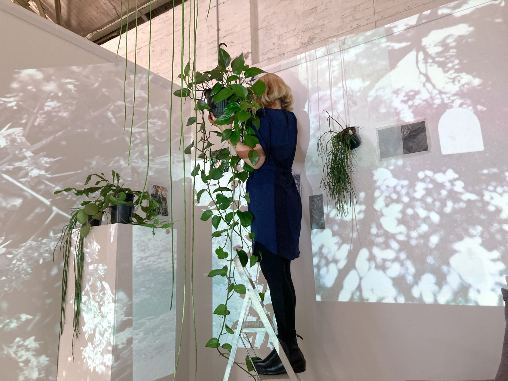 Consolation Bower, 2023 (still) Private installation at SMAC Studio Space Projected imagery, printed photographs, plants, artwork fragments, blu tack, plinth & ladder Dimensions variable