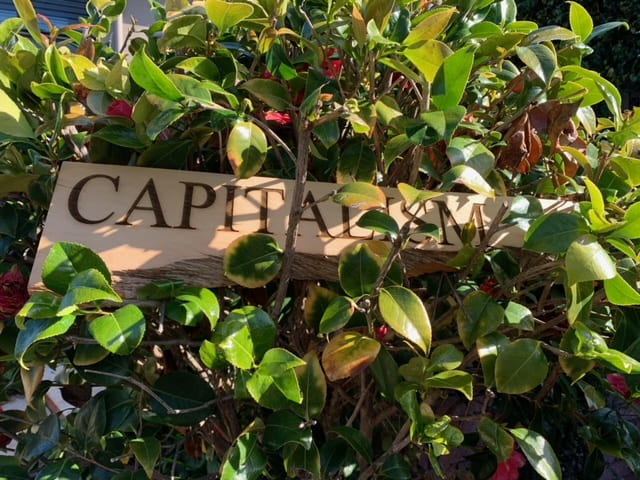 A wooden sign with the word Capitalism inscribed in it in a camellia tree