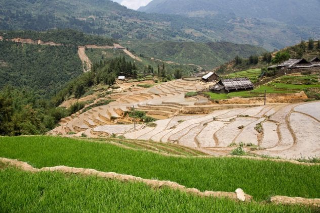 image of Terraced Rice Fields in Sapa, Vietnam